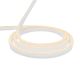 Neon Flex 5W LED IP68 24V DC Dimmable LED Strip Light Warm White - AQS-500-25A05