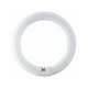 Circular T9 Fluorescent Tube 22W Natural White - CIR-22-TP