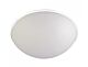 Medium Acid Etch Ceiling Light White - CLL8401-WH