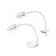 Magnifiying 6W LED Lamp White / Daylight - LSY