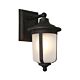 Devon 1 Light Wall Light Bronze / Frost - DEVO1EBRZ