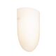 Ursula 1 Light Wall Light Opal Matt - URSU1W