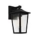 York 1 Light Wall Light Black / Clear - YORK1EBLK