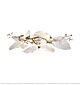 Midsummer Leaf Series Chandelier L1750 Citilux - NU145-2489