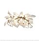 Midsummer Leaf Series Oval Chandelier Citilux - NU145-2490