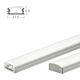 AP0101 cabinet linear light NU143-1069