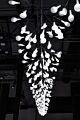 Replica Moooi Heracleum Endless Suspension Light 100cm - Pendant Light - Citilux - NU102-1546