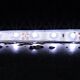 Strip Weatherproof 4.8 Watt 12V LED 1 Metre Flexible Strip Light / Daylight - 20050