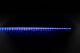 Plex 19.2W 24V DC 1 Metre Dimmable LED Strip Light / RGB + 3000K - 20327