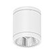 Neo-Pro 13W IP65 Dimmable Surface Mounted LED Downlight White / Tri-Colour - 20891