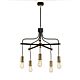 Douille 5 Arm Chandelier Black / Polished Brass - DOUILLE5 BPB