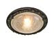 Olivia Flush Mount Black / Gold - OV/F BLK/GOLD