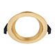 Roystar Gimbal Trim Recessed Downlight Brushed Brass - 203382