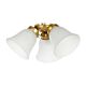 Waikiki 3 Light Ceiling Fan Light Kit Brushed Brass - 20518411