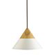 Insta 1 Light Pendant White - INSTA270-WHT