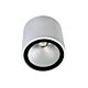 Melb 12W Surface Mounted LED Downlight White / Cool White - MELB-12 WHT