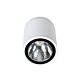 Melb 5W Surface Mounted LED Downlight White / Cool White - MELB-5 WHT