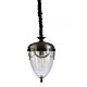 Thoir 1 Light Pendant Black - THOIR-BLK