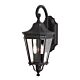 Cotswold Lane Medium Wall Lantern Black - FE/COTSLN2/M BK