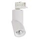 Astro Three Circuit 12W LED Triac Dimmable Rotatable Track Light Matt White / Tri-Colour - HCP-1032201