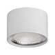 Nella 12W Round Fixed Surface Mounted Dali Dimmable LED Downlight White / Tri-Colour - HCP-8931204