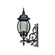 Flinders Small Outdoor Wall Light Antique Black IP12 - 1000211