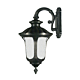 Waterford 1 Light Medium Outdoor Wall Mount Light - Antique Black