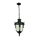 Wellington Small Chain Pendant Antique Black IP44