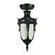 Wellington Small Under Eave Light Antique Black IP44 - 1000580