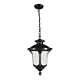 Waterford 1 Light Medium Chain Pendant Light - Antique Black