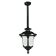 Waterford 1 Light Medium Rod Pendant Light - Antique Black