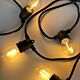 Festoon 20 Meter LED 1.5W Shatterproof S14 Party Light Kit Black / Warm White - BF20B-E27-240V-1.5WS14