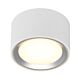 Fallon 8.5W LED Surface Mounted Downlight White / Brushed Steel / Warm White - 47540132