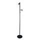 Daxam 12 Watt 2 Light LED Floor Lamp Black / Cool White - SL98592BK