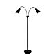 Walt 2 Light Floor Lamp Black / Brushed Chrome - SL98812BC