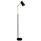 Perfo 1 Light Floor Lamp Black / Brass / Bronze - SL98833AB