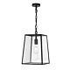 Cantena 25 Industrial Pendant / CTC Black - CANTENA PE25-BK