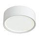 Nara 18W Dimmable LED Downlight White / Tri-Colour - NARA CTC-WH.3CCT