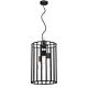 Pratt 1 Light Pendant Large Black / Clear - PRATT PE30-BK