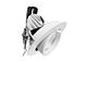 10W ADJUSTABLE DOWNLIGHT (DL05-10W/WH/TC