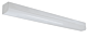 22W BATTEN 4FT (LED/BT/22W/DL)