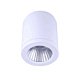 15W LED SURFACE MOUNT TC (DL2082/WH)