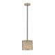 Brandon 1 Light Mini Silver Pendant - 21856